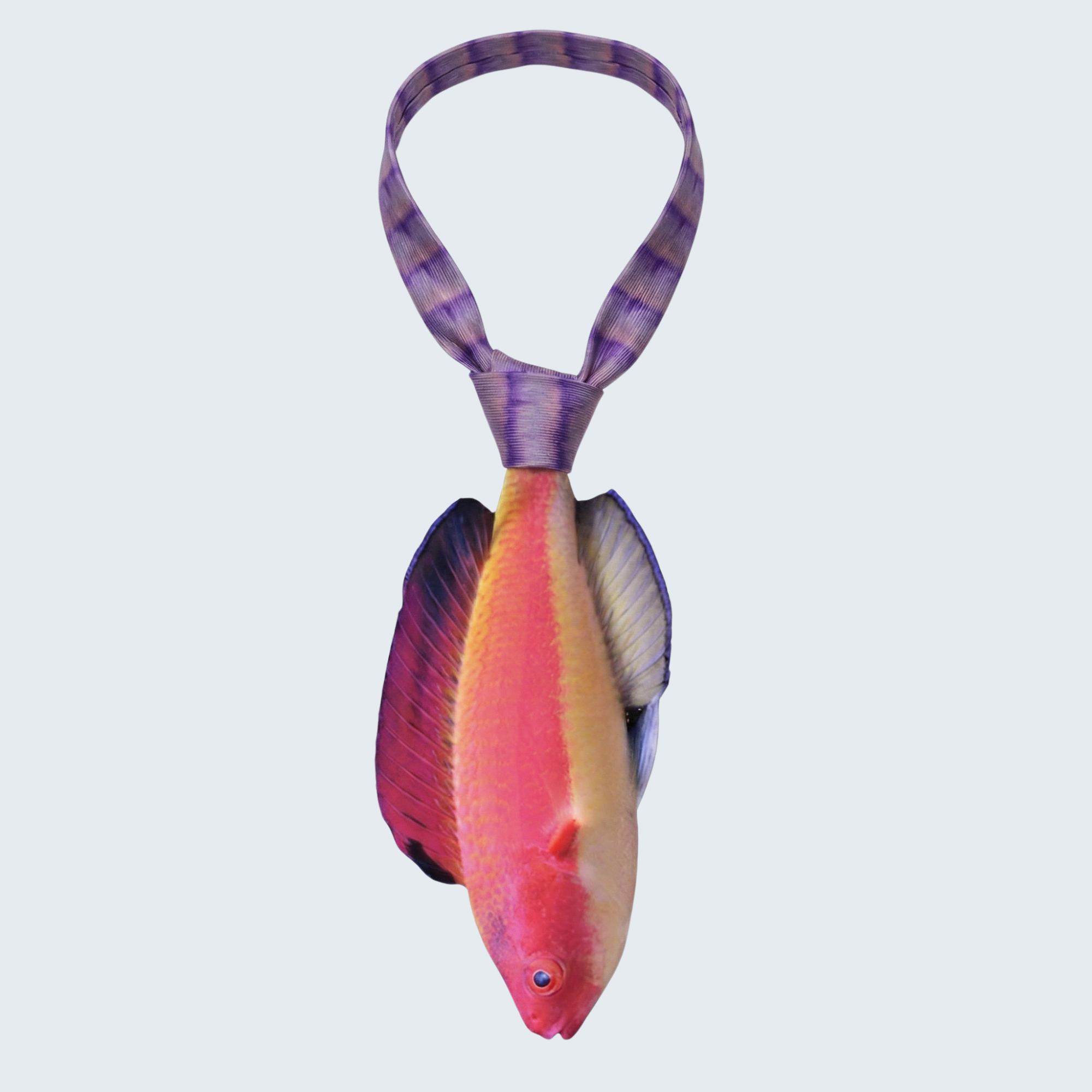 Evolyx© Hooded Flame Fairy Wrasse