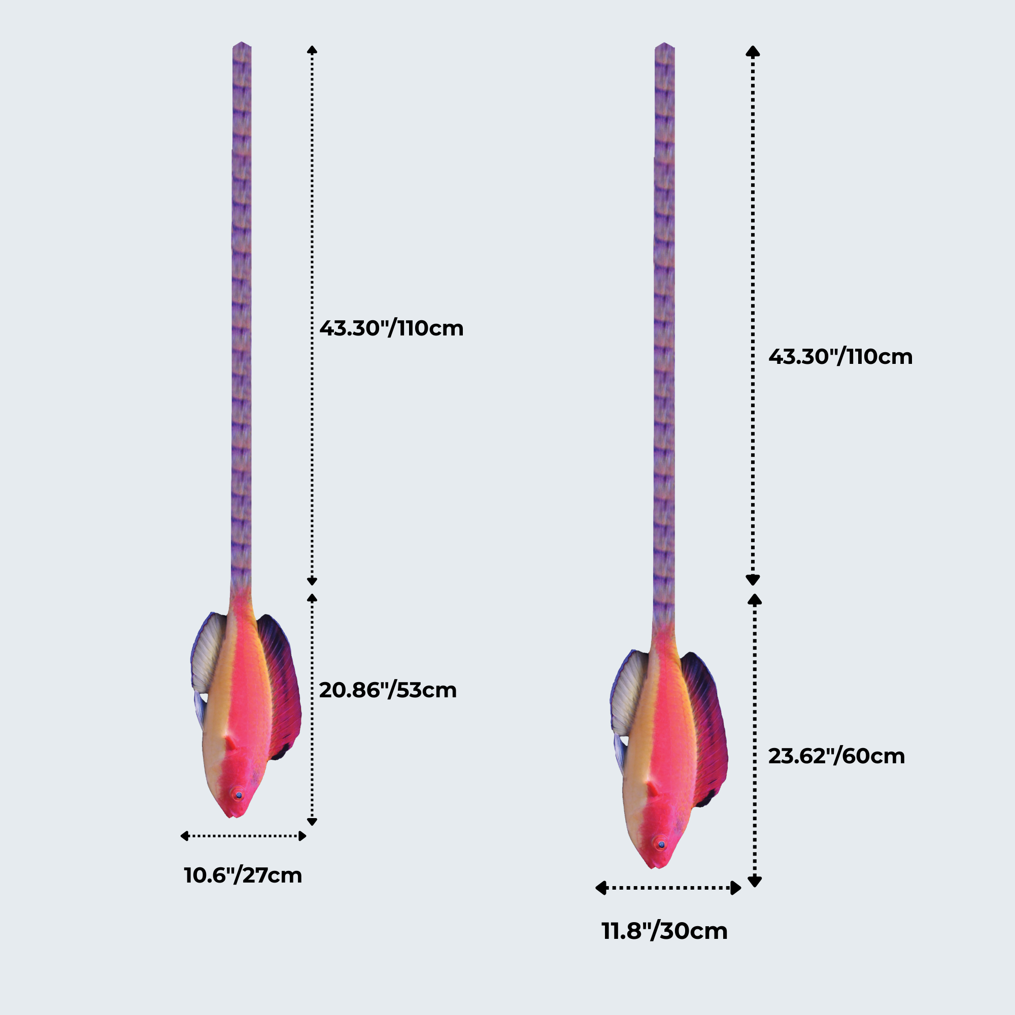 Evolyx© Hooded Flame Fairy Wrasse
