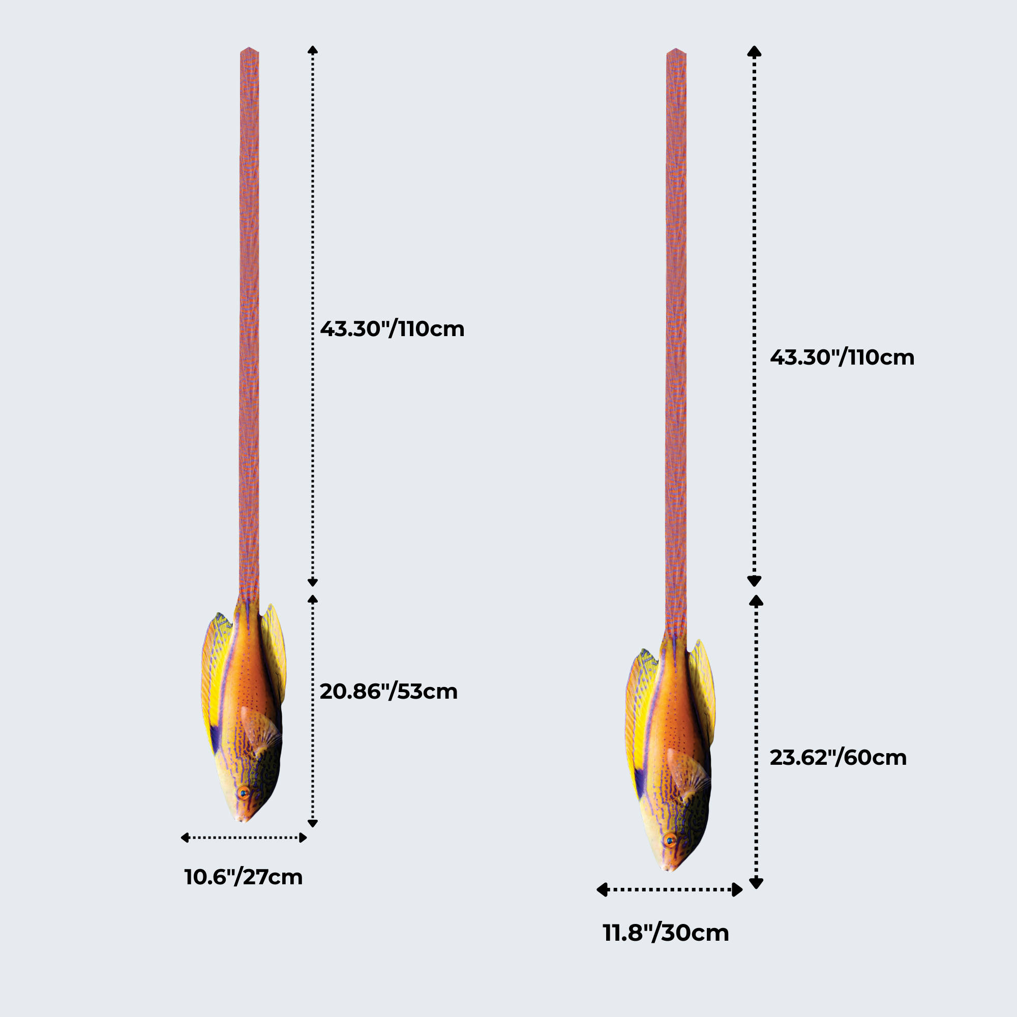 Evolyx© Lineatus Fairy Wrasse