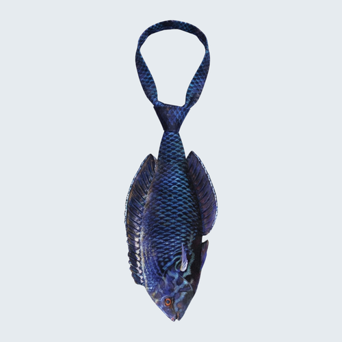 Evolyx© Black Leopard Wrasse