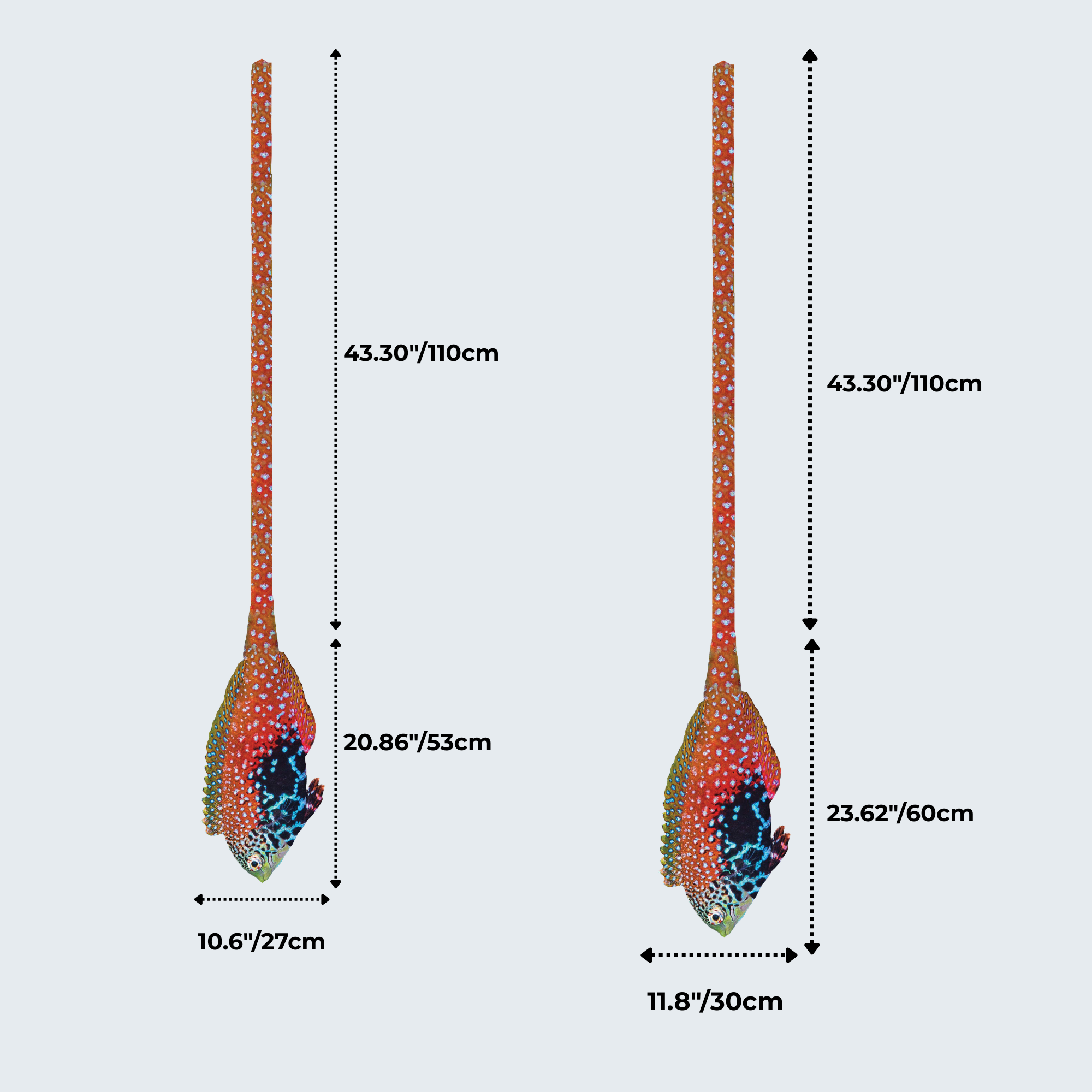 Evolyx© Blue Star Leopard Wrasse
