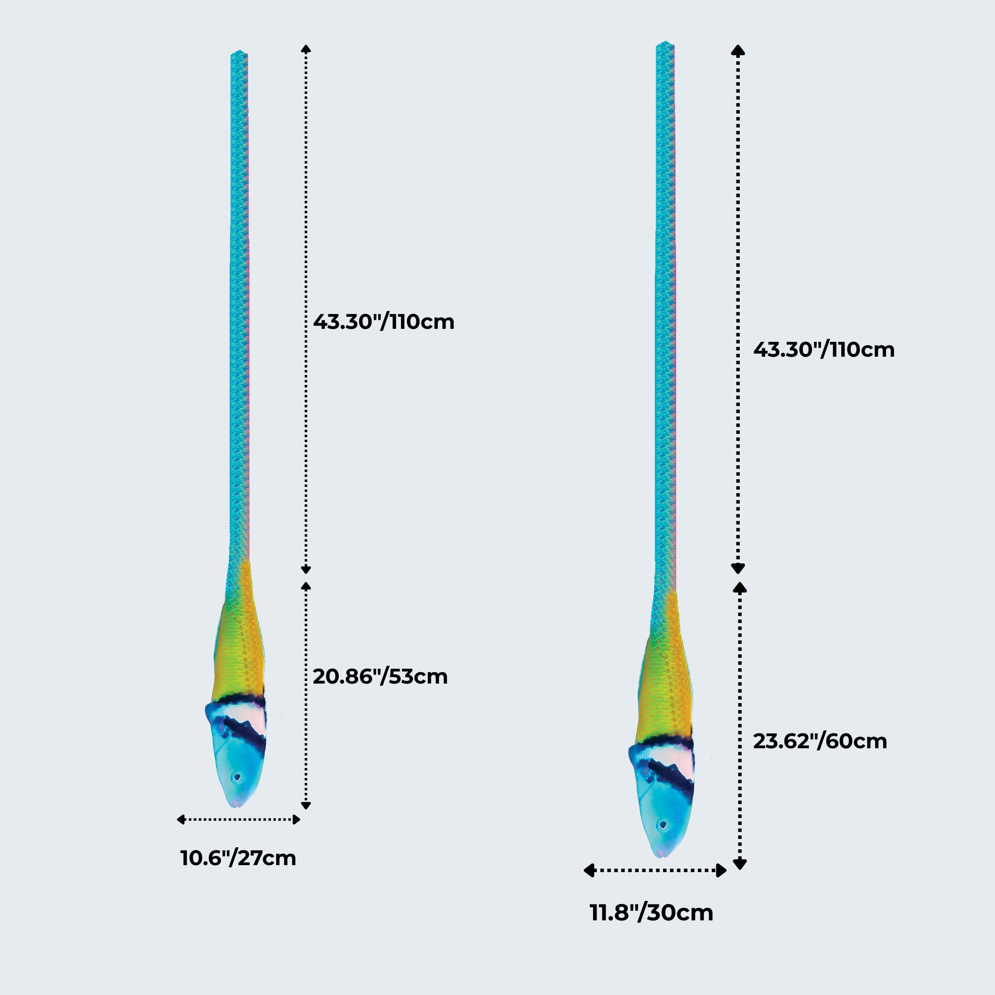 Evolyx© Bluehead Wrasse