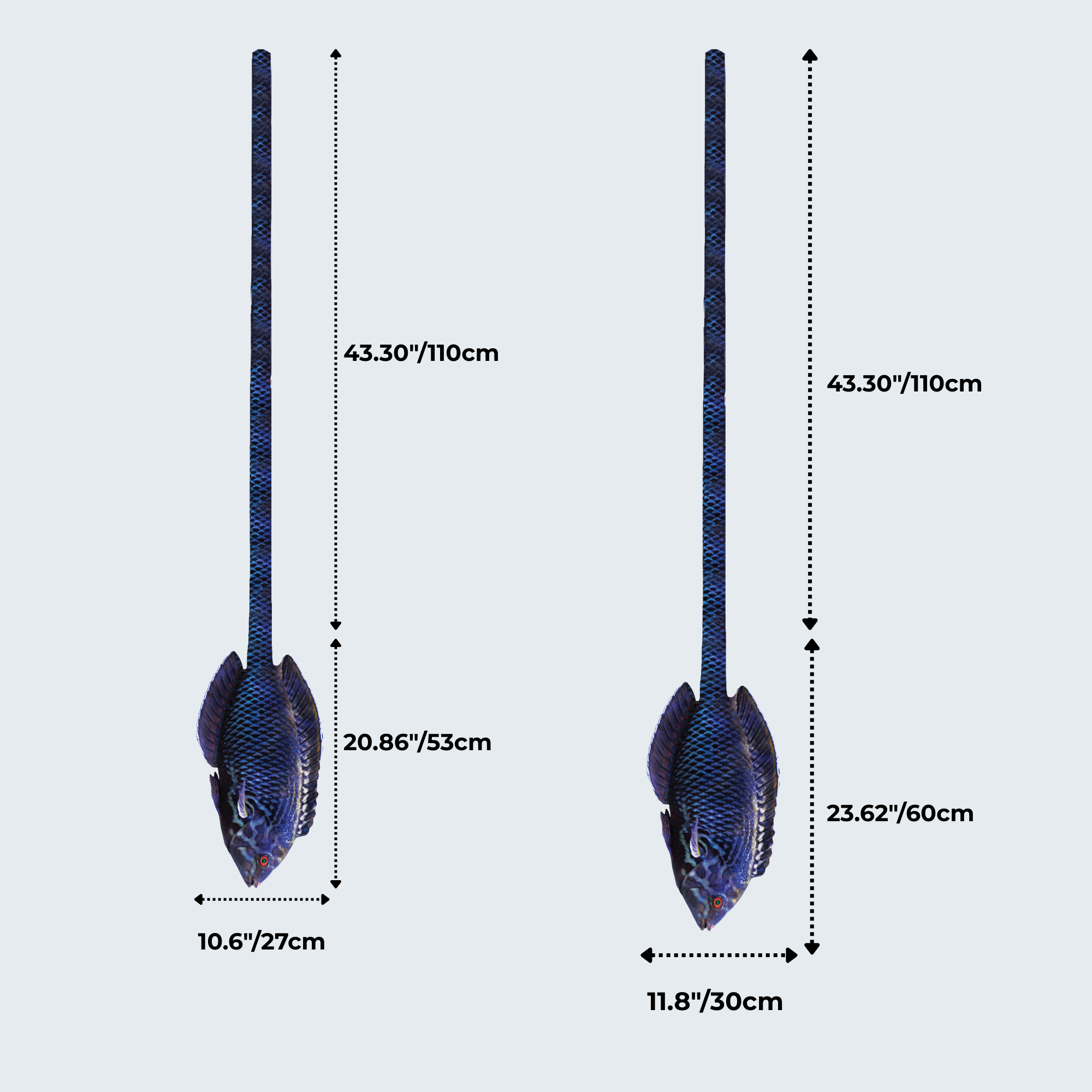 Evolyx© Black Leopard Wrasse