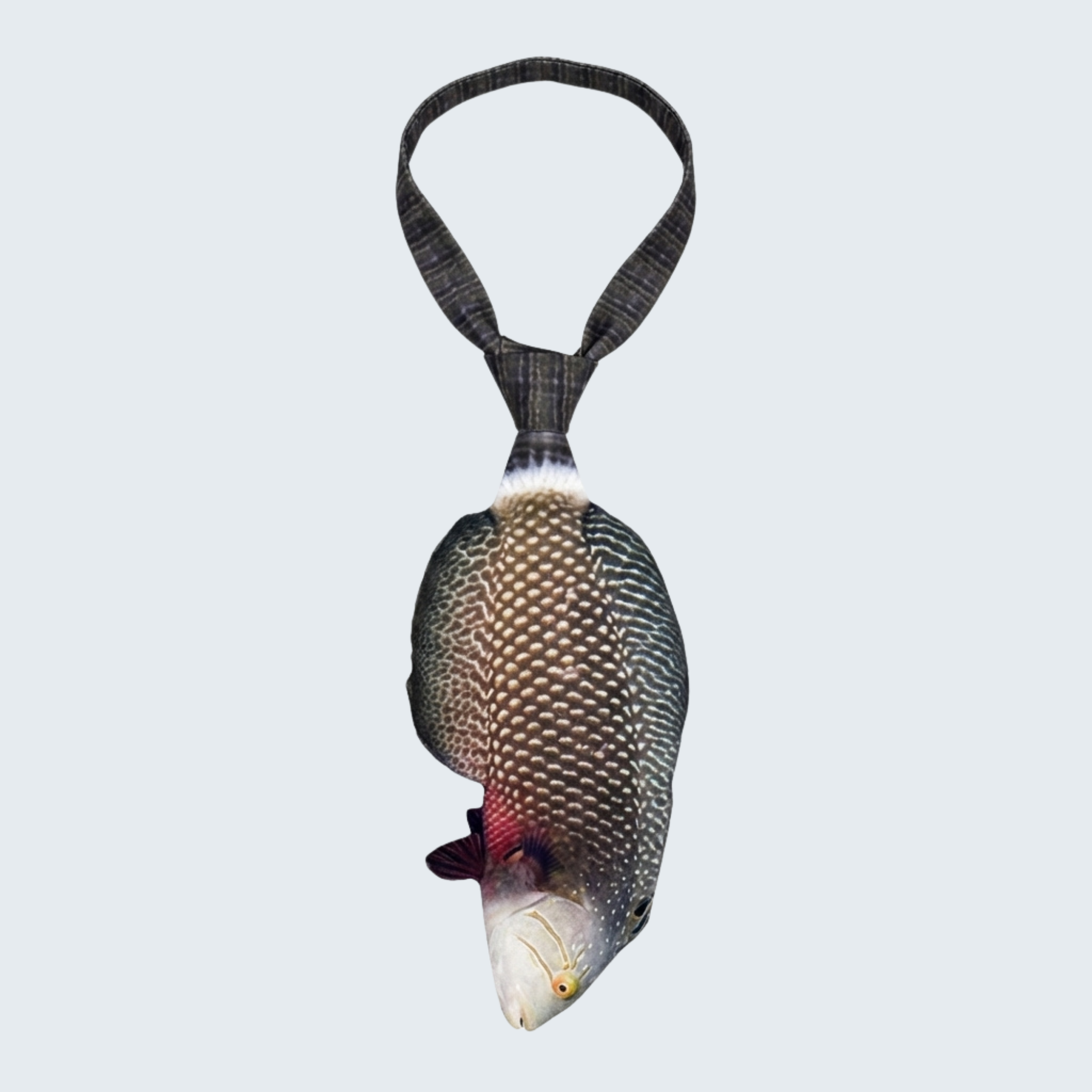 Evolyx© Dragon Wrasse